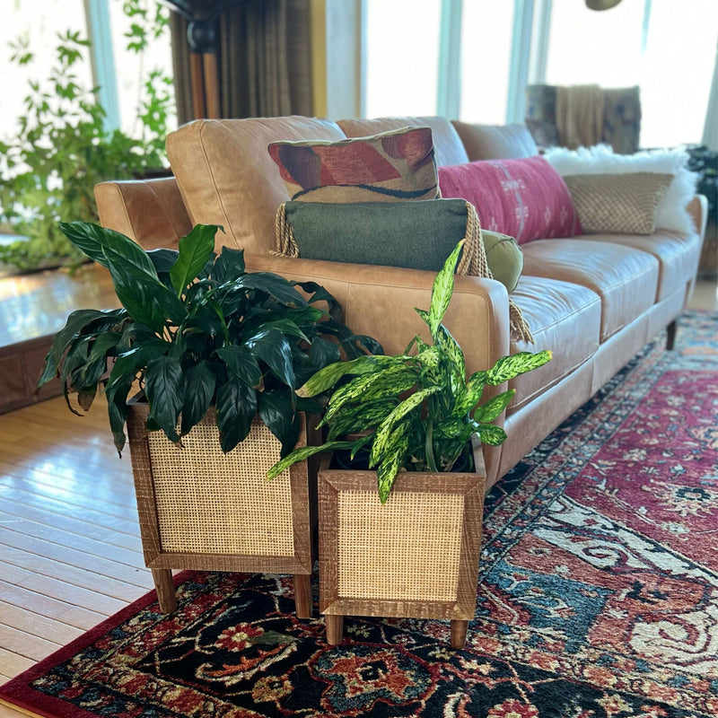 Boho Indoor Planter Set With Rattan Accent